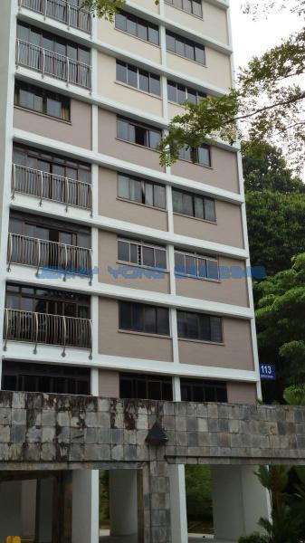 Blk 113 Depot Road (Bukit Merah), HDB 5 Rooms #107751532